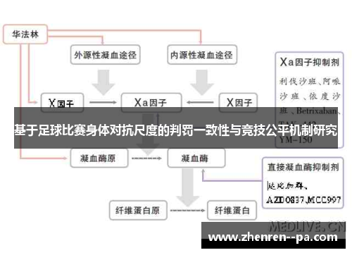 基于足球比赛身体对抗尺度的判罚一致性与竞技公平机制研究